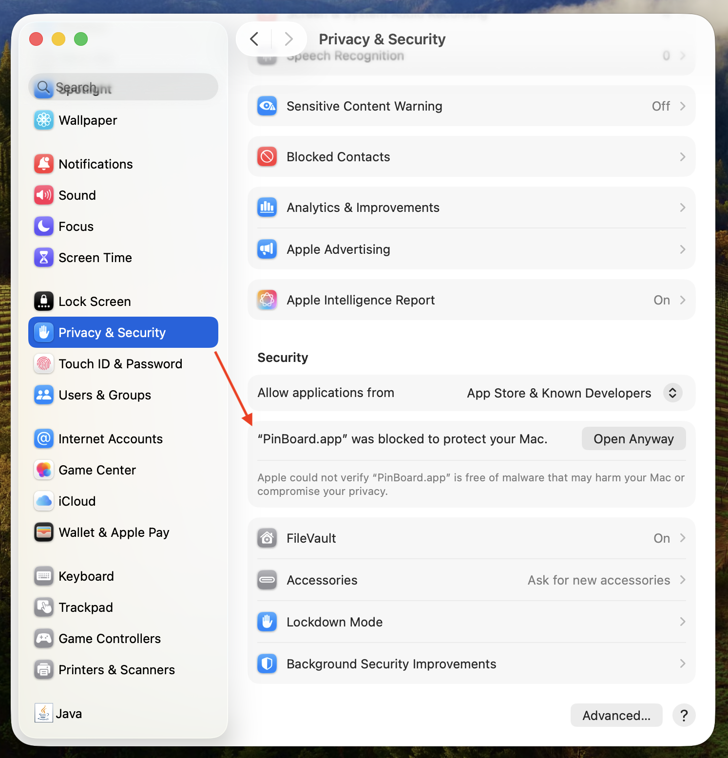 macOS System Settings — Privacy & Security — Open Anyway
